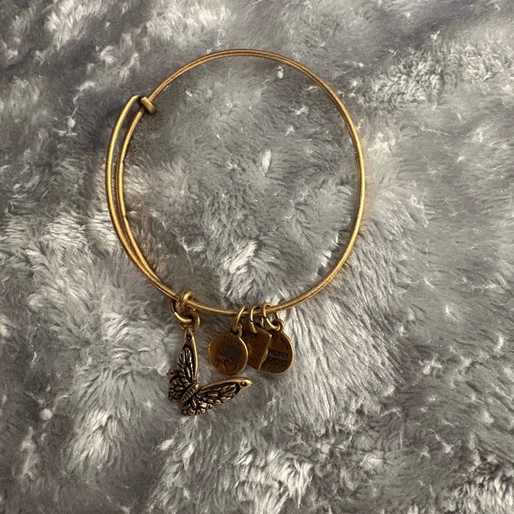 Alex and Ani Gold Charm Bracelet